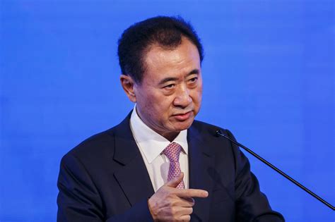 david wong pag|Wang Jianlin's Wanda unit gets a US$8.4 billion capital injection .